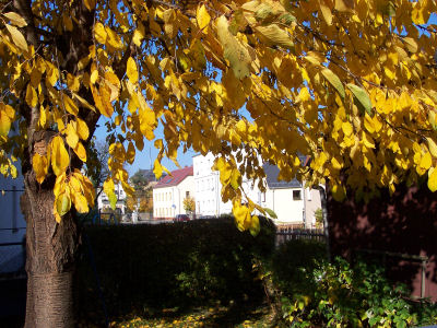 Irchwitz im Herbst 2005